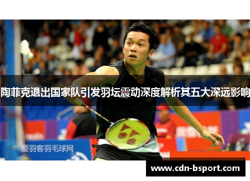 陶菲克退出国家队引发羽坛震动深度解析其五大深远影响