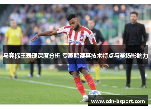 马竞标王表现深度分析 专家解读其技术特点与赛场影响力