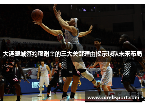 大连鲲城签约穆谢奎的三大关键理由揭示球队未来布局
