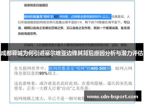 成都蓉城为何引进塞尔维亚边锋其背后原因分析与潜力评估