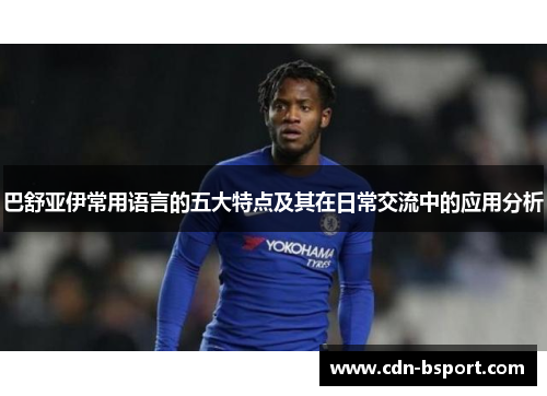巴舒亚伊常用语言的五大特点及其在日常交流中的应用分析