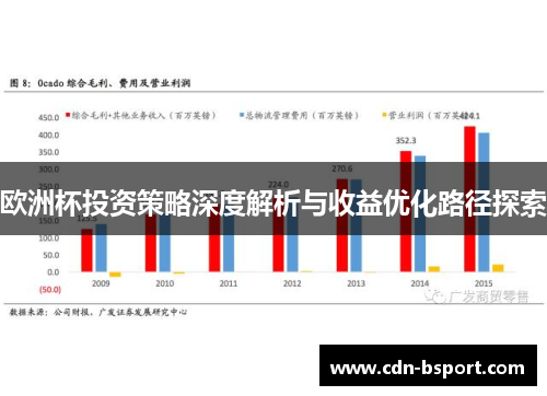欧洲杯投资策略深度解析与收益优化路径探索