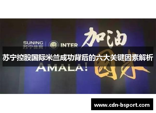苏宁控股国际米兰成功背后的六大关键因素解析