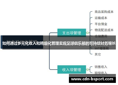 如何通过多元化收入和精细化管理实现足球俱乐部的可持续财务增长