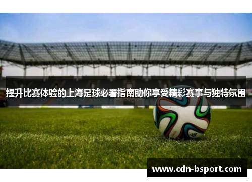 提升比赛体验的上海足球必看指南助你享受精彩赛事与独特氛围 提升比赛体验的上海足球必看指南助你享受精彩赛事与独特氛围