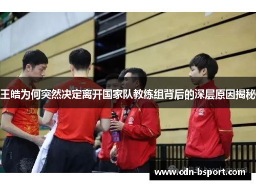 王皓为何突然决定离开国家队教练组背后的深层原因揭秘