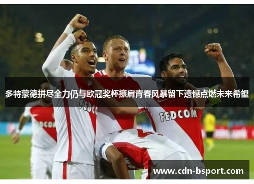 多特蒙德拼尽全力仍与欧冠奖杯擦肩青春风暴留下遗憾点燃未来希望