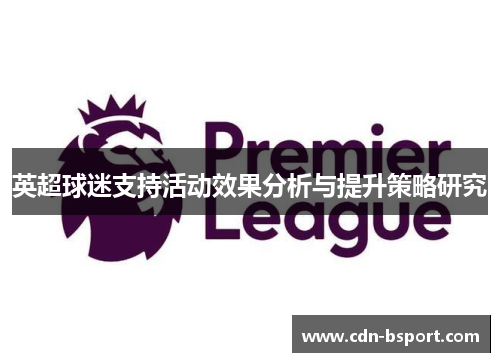 英超球迷支持活动效果分析与提升策略研究