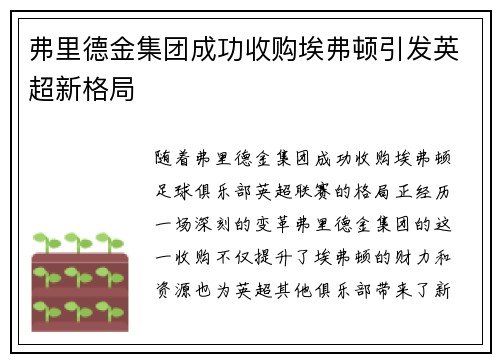 弗里德金集团成功收购埃弗顿引发英超新格局 弗里德金集团成功收购埃弗顿引发英超新格局